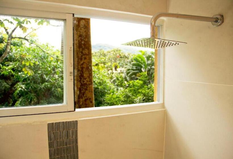 标准单人间, Albrook Inn