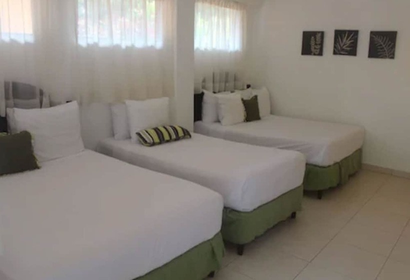 标准三人间, Albrook Inn