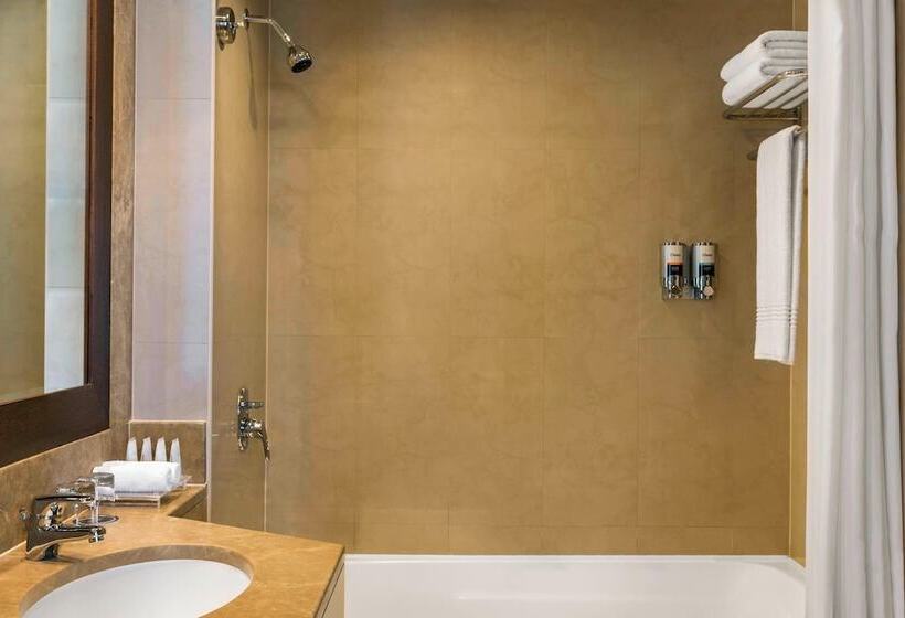 اتاق کلاسیک با تخت دوبل, Four Points By Sheraton Sheikh Zayed Road