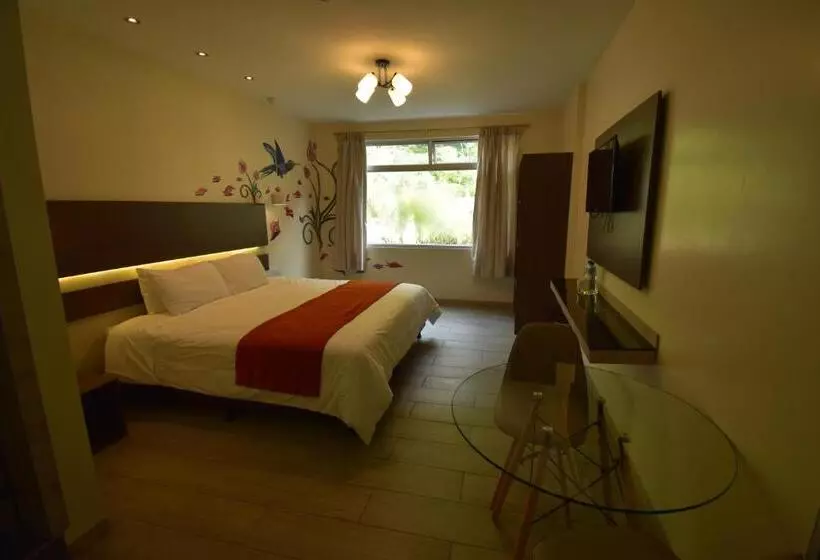 スーペリアールーム, Monte Selva Spa Termal