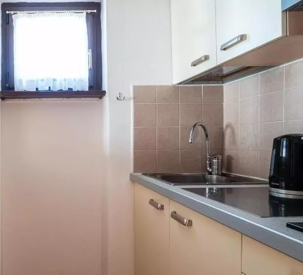 １ベッドルームのスーペリアアパートメント, Residence Lastei