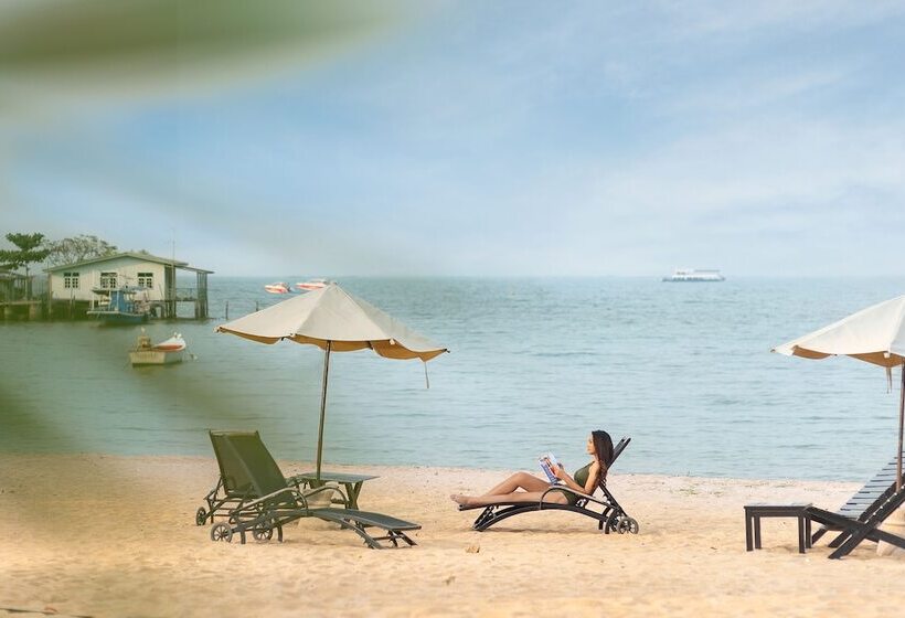 سوئیت سلطنتی 2 خوابه, The Zign