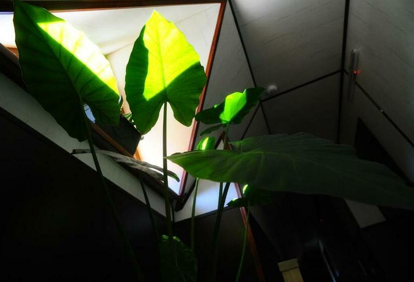 デラックスルーム, Galushko