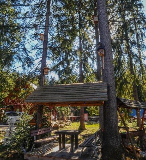 スタンダードルーム, Galushko