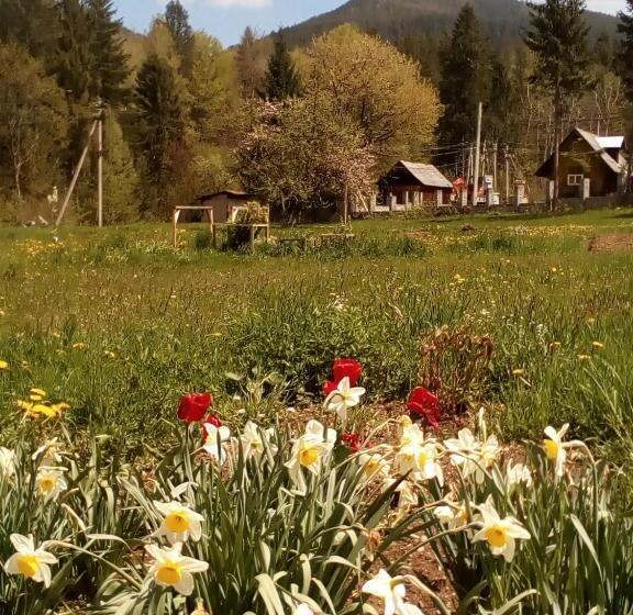 4ベッドルームクラシックタイプ, Galushko