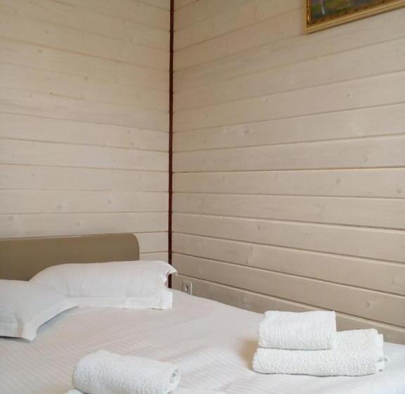 エコノミールーム, Galushko