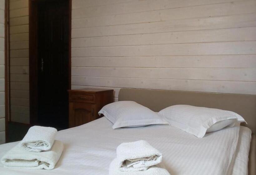 エコノミールーム, Galushko