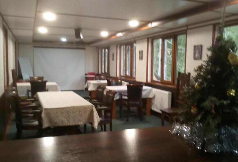 スタンダード4人部屋, Galushko