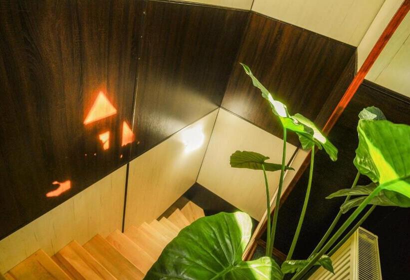 スタンダードルーム, Galushko