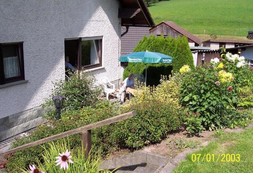 발코니 디럭스 룸, Gästehaus Cornelia