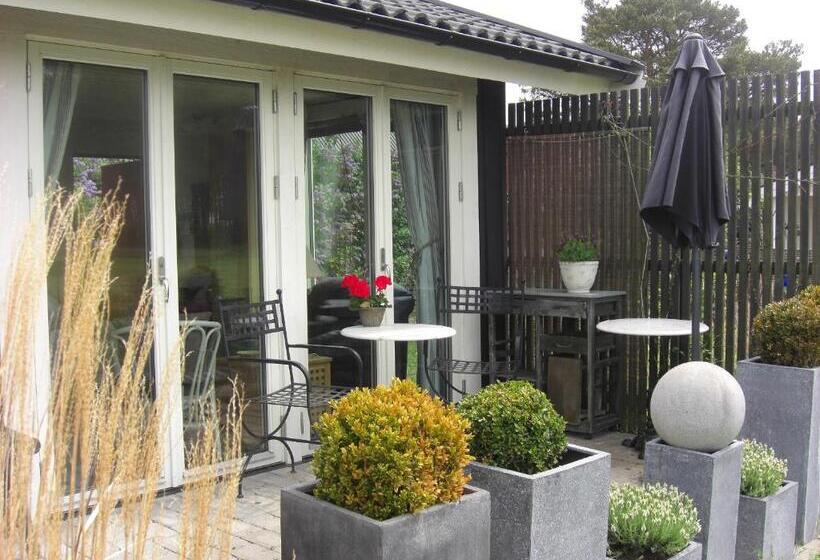 标准工作室, ängshyddan B&b