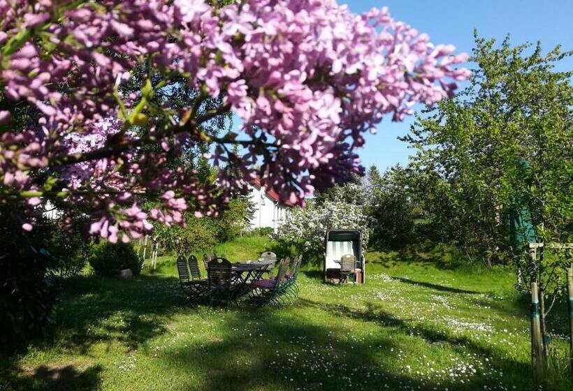 スタンダードルーム, Wirtshaus Neuenkirchen