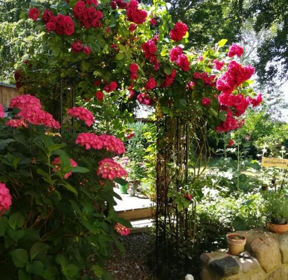 スタンダードルーム, Wirtshaus Neuenkirchen