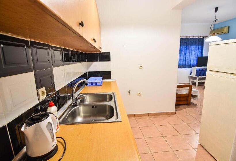 침실 1개 수피리어 아파트, Epavlis Apartments