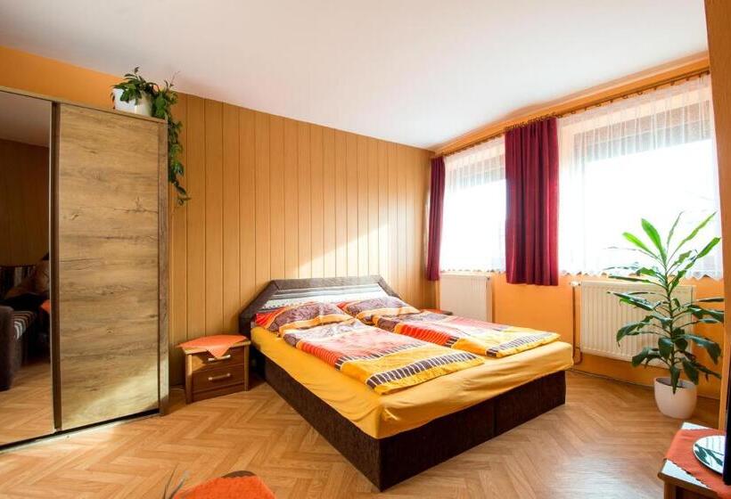 スタンダード４人部屋, Penzion U Třeboňského Kola