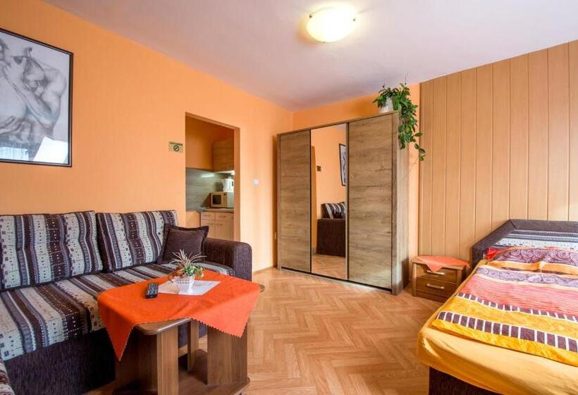 スタンダード４人部屋, Penzion U Třeboňského Kola