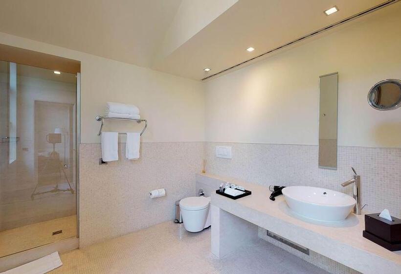 اتاق دلوکس با چشمانداز پارک, A'jia