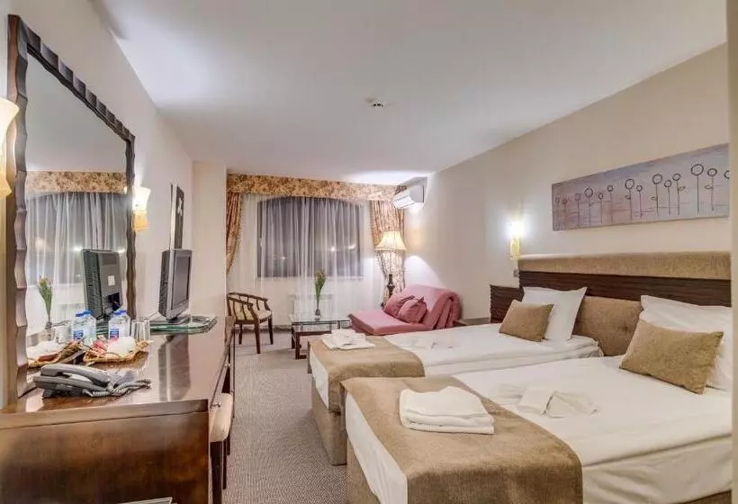 اتاق لوکس, Bansko Spa & Holidays   Free Parking