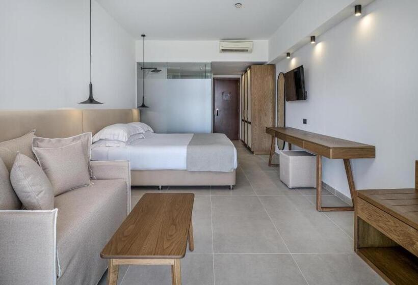Номер Стандарт Вид на Сад, Michelangelo Resort & Spa