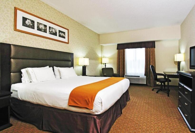 キングサイズベッドのスタンダードルーム, Holiday Inn Express Hotel & Suites Ottawa Airport, An Ihg