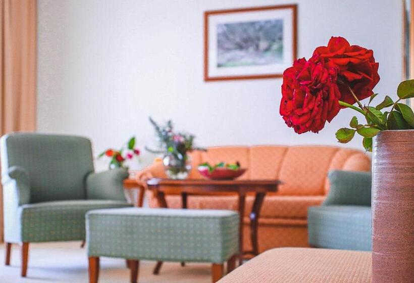 جناح جونيور, Bozica Dubrovnik Islands