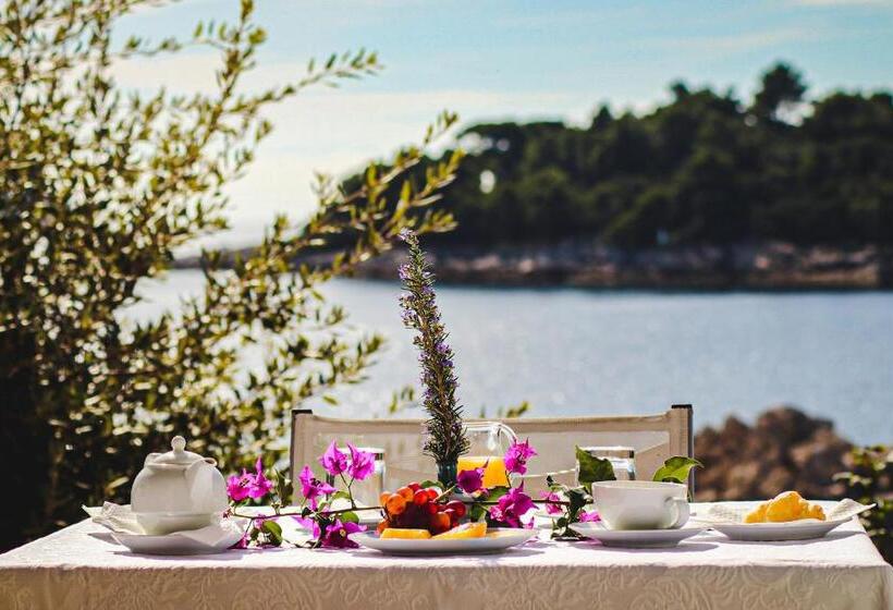 شقة غرفة واحدة مزودة بتراس, Bozica Dubrovnik Islands