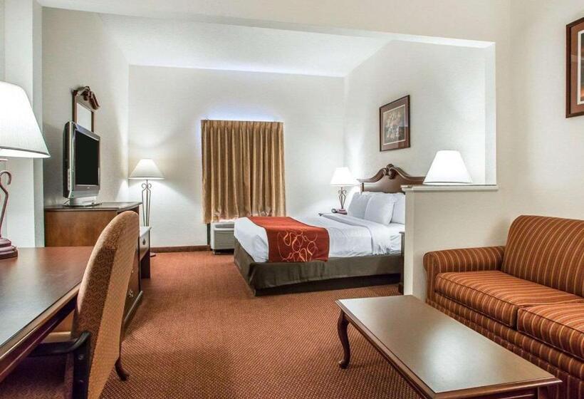 جناح سرير كينج, Comfort Suites Jefferson City