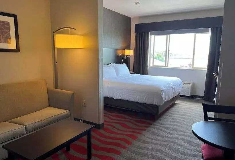 スイート, Comfort Suites Boise West Meridian
