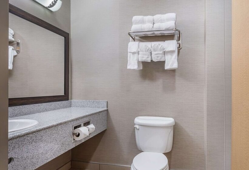 جناح, Comfort Suites Boise West Meridian