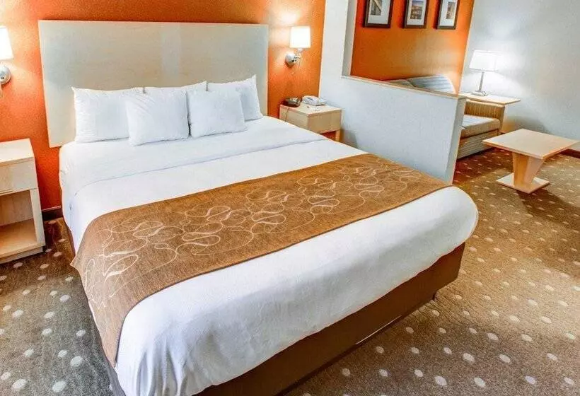 سوییت, Comfort Suites Pittsburgh Airport