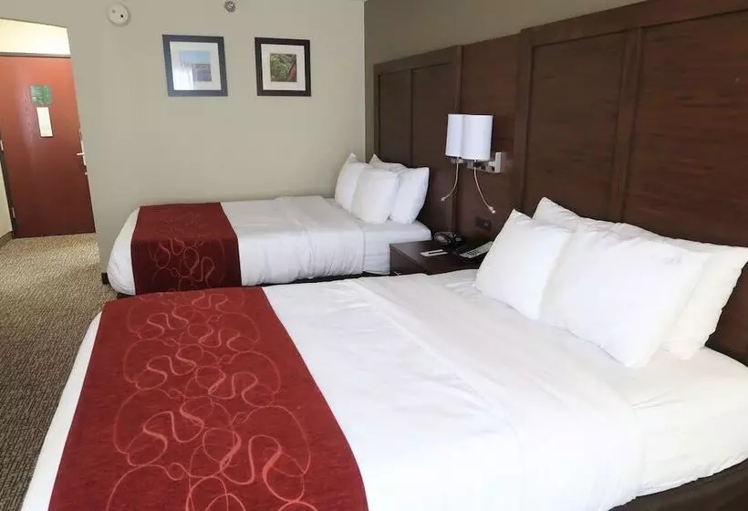 اتاق استاندارد با 2 تخت دوبل, Comfort Suites Pittsburgh Airport