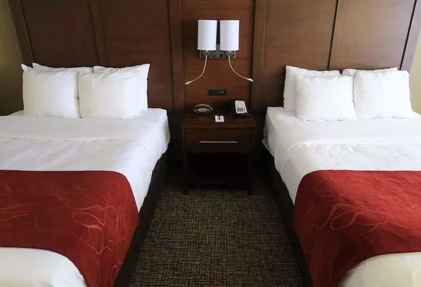 اتاق استاندارد با 2 تخت دوبل, Comfort Suites Pittsburgh Airport