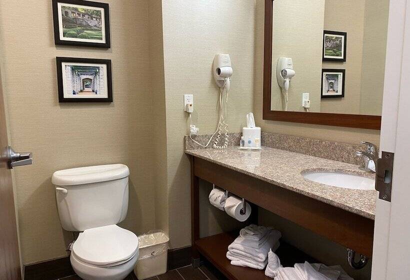 Люкс, Comfort Suites Jefferson City
