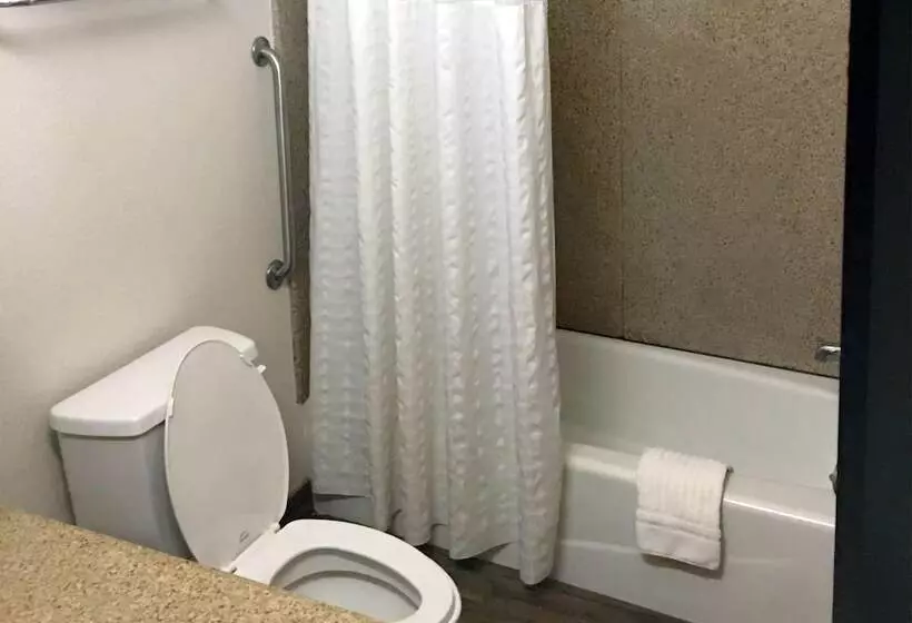 スイート, Comfort Suites San Angelo Near University