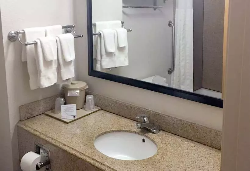 スイート, Comfort Suites San Angelo Near University