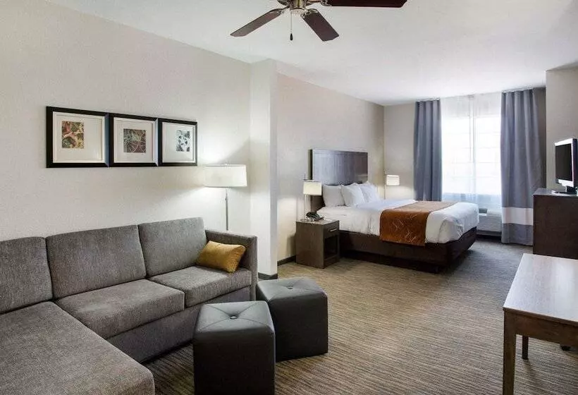 スイート, Comfort Suites San Angelo Near University