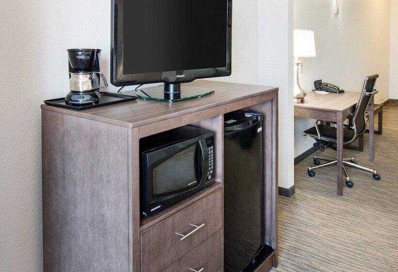 스위트, Comfort Suites San Angelo Near University