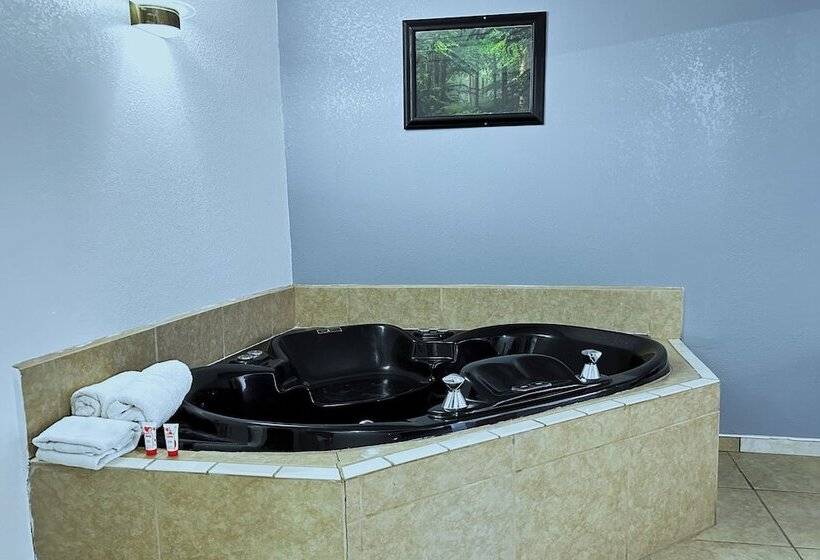 جناح مزود بجاكوزى, Oyo Hotel Three Rivers Tx Us 281