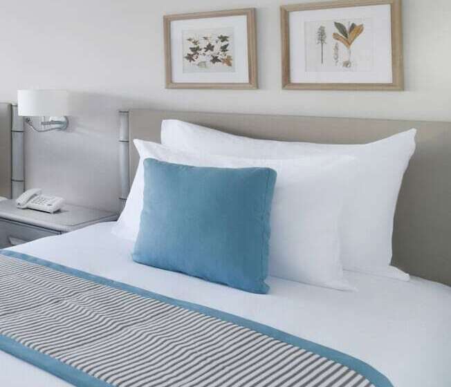 سوییت خانوادگی, Jaz Elite Casa Del Mar Beach