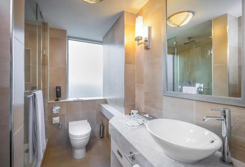 غرفة سوبيريور مطلة على المدينة, Titanic Port Bakirkoy