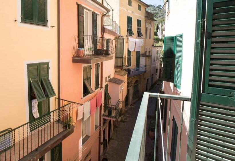 Номер Стандарт, Marina