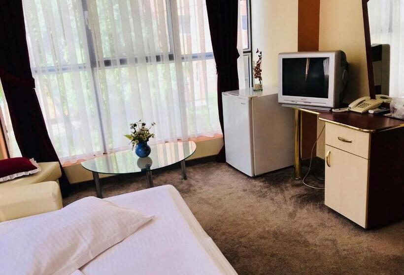 آپارتمان 2 خوابه, Palace