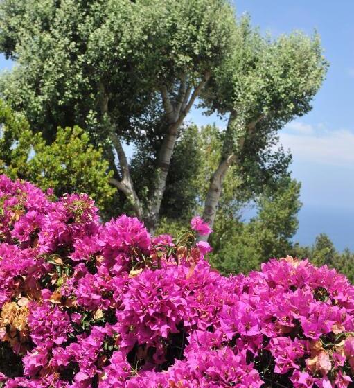 스탠다드 룸 바다 전망, Sweetposeidon