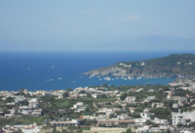 스탠다드 룸 바다 전망, Sweetposeidon