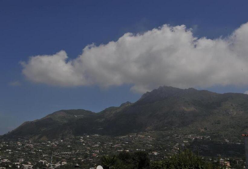 스탠다드 룸 바다 전망, Sweetposeidon