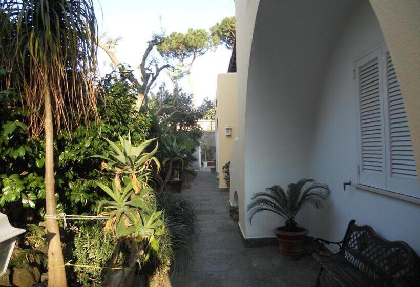 스탠다드 트리플 룸, Sweetposeidon