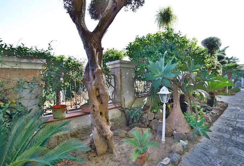 스탠다드 룸, Sweetposeidon