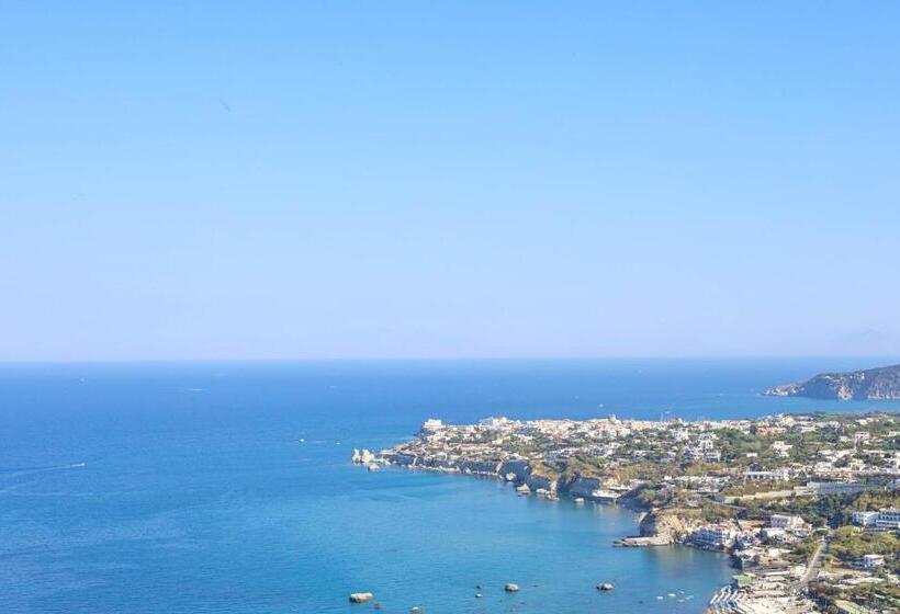 스탠다드 룸 바다 전망, Sweetposeidon