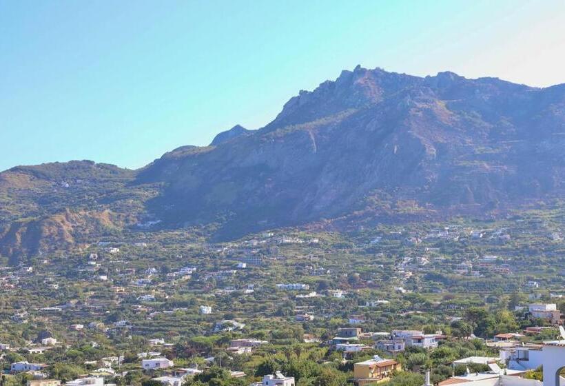 스탠다드 룸 바다 전망, Sweetposeidon