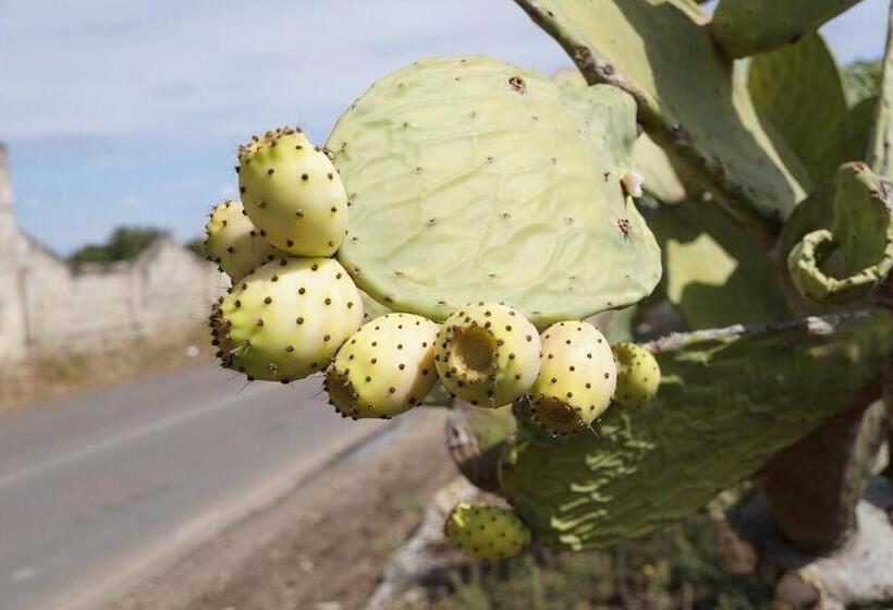 4인용 스탠다드 룸, Le Stanze Del Sole